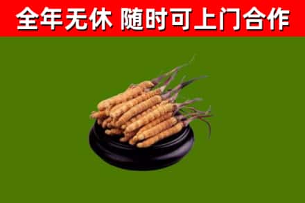 雷州市烟酒回收冬虫夏草.jpg